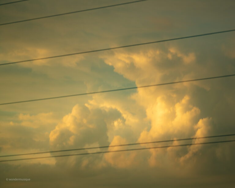 E642C4CB-5D39-4938-9DF2-C6C576876C6E_1_102_o