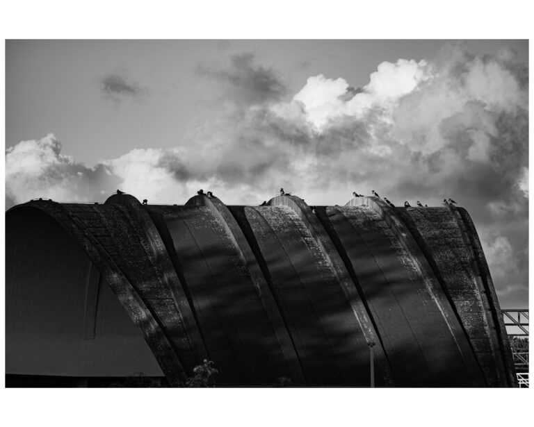 IMG_2874