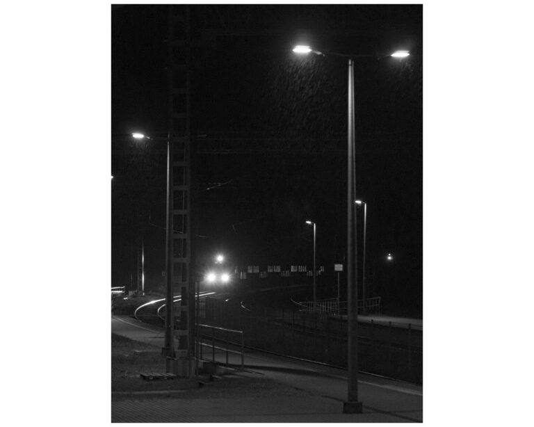 IMG_2876