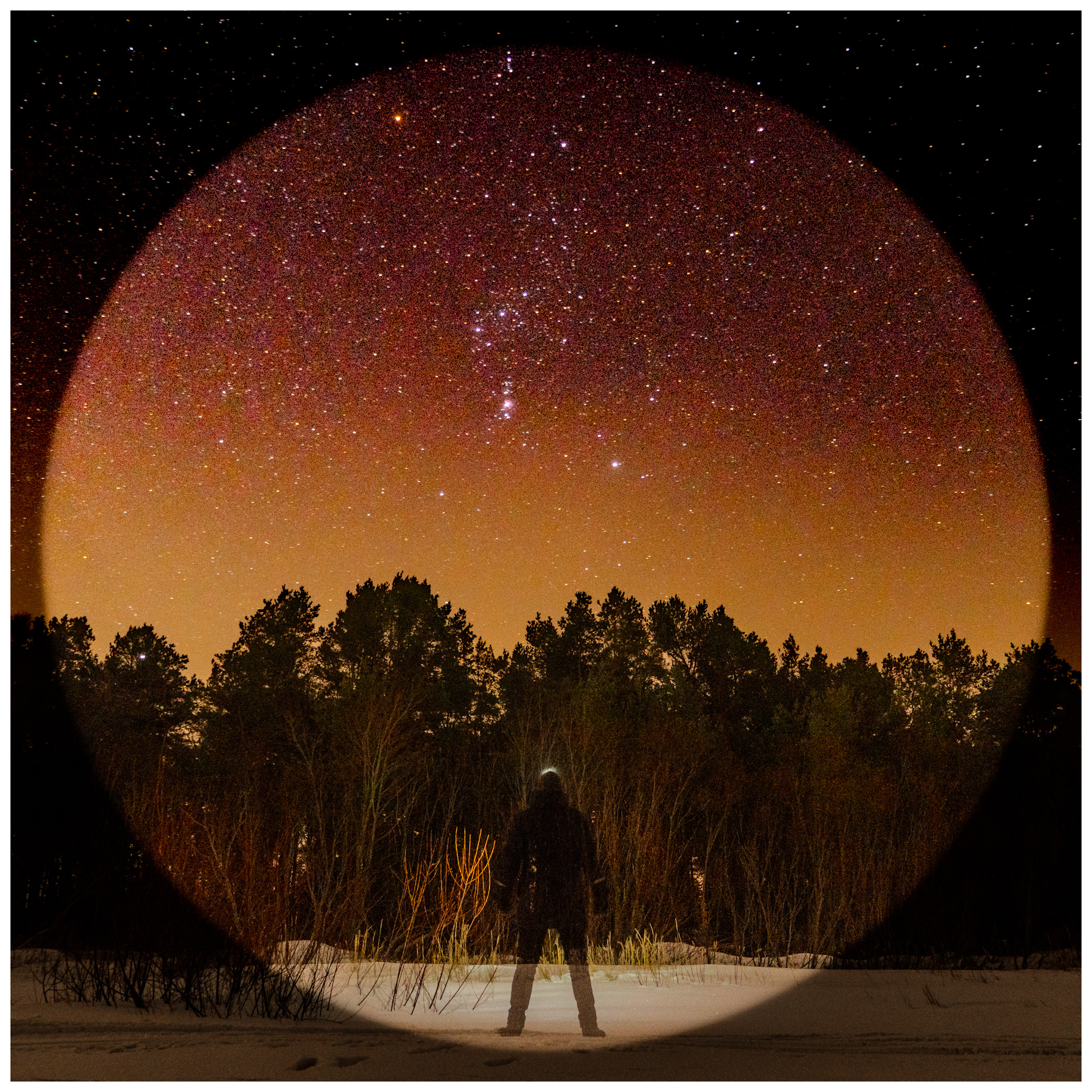 A photo of a person stargazing the wintery night sky.